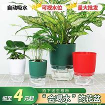 Lazy green flower pot automatic absorbent plastic thick and durable water-free multi-meat White size factory direct sales