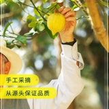 Живые замороженные сушеные лимонные ломтики, пропитанные водой, джиндзином, мокротом, рвотой, рвотой 2 таблетки/мешки*20 мешков/сухой коробки.