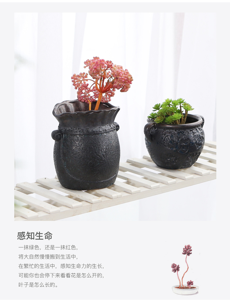 Cây mọng nước châu Âu cũ cây gốm lớn chậu hoa khô bình cao phần làm ngọc bướm đơn giản cá tính đồ đá thoáng khí - Vase / Bồn hoa & Kệ chậu trồng hoa