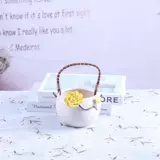 Бедный крупный калибр цветочный горшок Gao Fang Fang Flower Pinling Basketball Green Plant Plant Pac