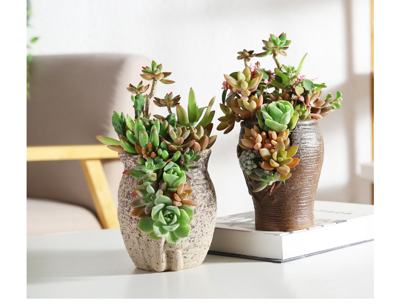 创意个性多肉陶瓷花盆多孔多肉老桩拼盘花器多洞陶瓷法师老桩花盆 景德镇名瓷在线