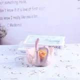 Бедный крупный калибр цветочный горшок Gao Fang Fang Flower Pinling Basketball Green Plant Plant Pac