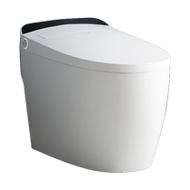 HOROW Q6S Smart Toilet Multiple Cleansing Warm Air Drying Instant Heat Type (Installation Not Included)