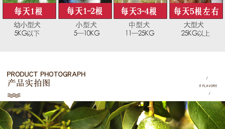 40 昵 洁 洁 洁 咬 泰 泰 泰 泰 除 除 除 除 除 除 除 除 除 除 除 除 小狗 小狗 小狗 小狗 bánh xương chó