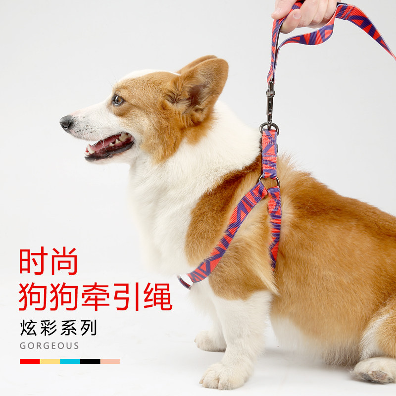 dog rope chain