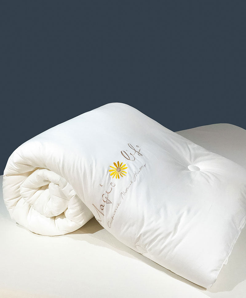 Soybean Fiber Quilted By Winter Quilt Thickened Warm Antibacterial and Warm And Soft Pro-Skin Student Dormitory Double Autumn Winter Quilt Core