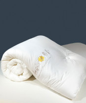 Soybean fiber quilt winter quilt thickened warm antibacterial warm soft skin-friendly student dormitory double autumn and winter quilt core