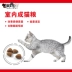 Royal Cat Food I27 Trong nhà dành cho người lớn Mèo Thực phẩm Loại bỏ lông Bóng Giảm phân Kiểm soát mùi cơ thể Trọng lượng dành cho người lớn Cat Food Cat Stuff 2kg - Cat Staples