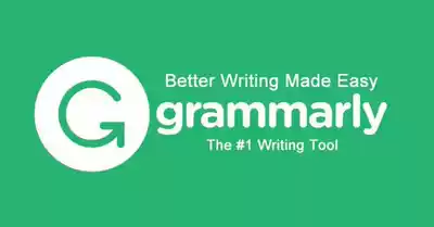 Grammar Grammar Detection One Year English Grammar Detection Grammaly