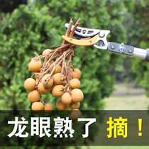 Fruit picking artifact High branch scissors telescopic high-altitude scissors retractable fruit picking artifact fruit artifact longan fruit scissors gardening