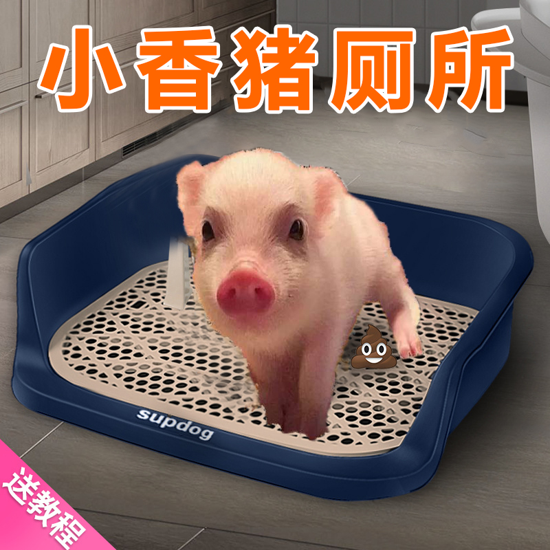 Small Fragrant Pig Toilet Pull Urine Shit Basin Poo Poo special toilet Mini small fragrant pig Pet Pet Supplies Small Fragrant Pig Supplies