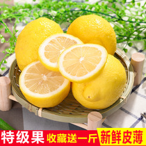 Pick now Anyue lemon fruit wholesale 6 pounds of whole box of fresh thin-skinned first-class fresh lime yellow lemon 5