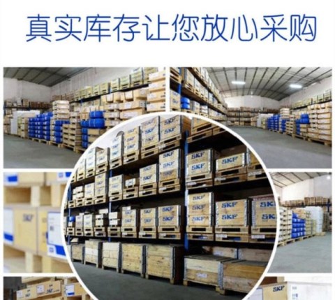 Đức nhập khẩu INA mang F-507231 Máy in Heidelberg máy dệt Đức - Vòng bi gối đỡ vòng bi