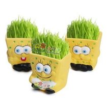 Green Plant Potted Office Desktop Mini Grass Head Doll Suck Radiant Sponge Baby Children DIY Gift Special Price