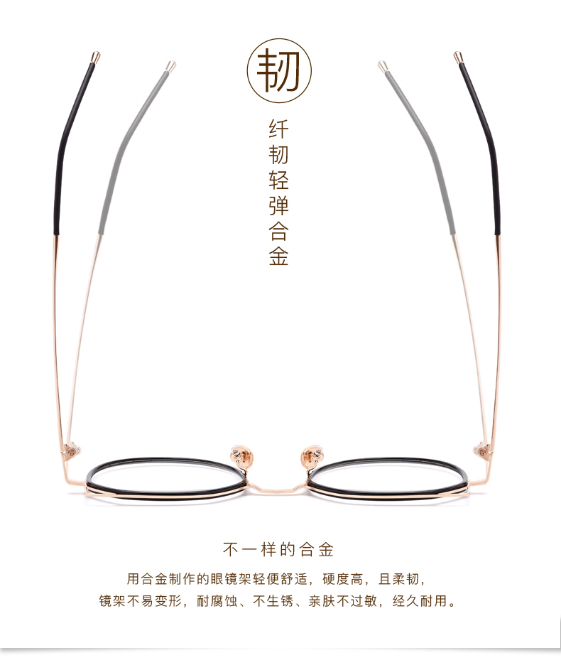 Montures de lunettes en Alliage cuivre-nickel - Ref 3139848 Image 8