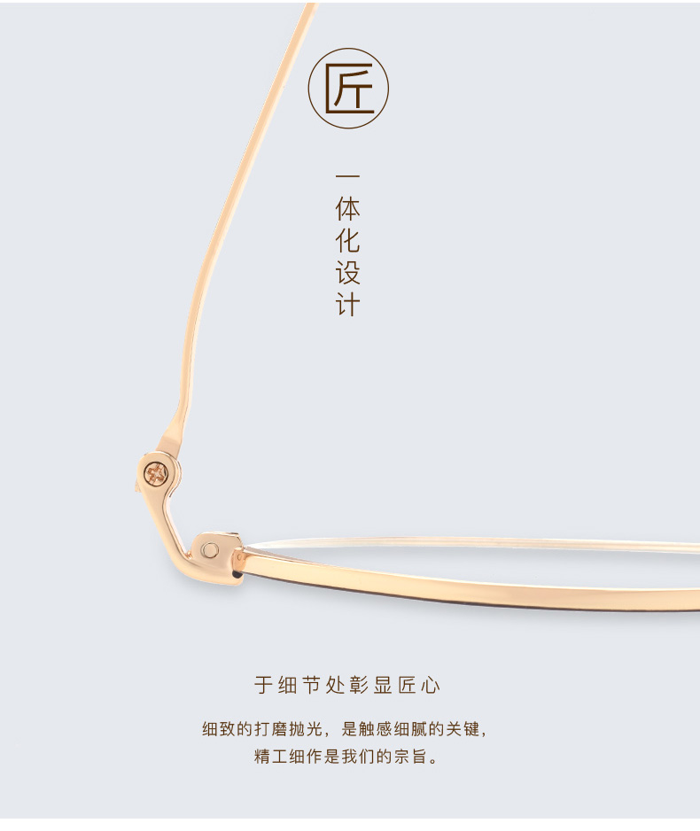 Montures de lunettes en Alliage cuivre-nickel - Ref 3140844 Image 12