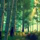 Fire Watch Steam Offline Single-Player Game Sharing Account Pc Single-Player Adventure Mystery