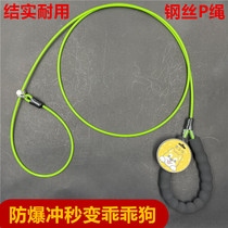 Pet p chain dog leash dog leash dog rope small and medium-sized dog Teddy golden retriever dog walking p rope explosion-proof supplies