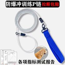 Dog leash explosion-proof large medium and small dogs p chain competition grade dog training steel wire p rope pet dog walking collar dog rope