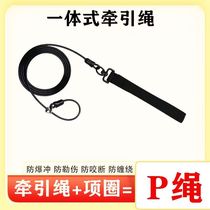 Pet dog traction rope explosion-proof thickened reinforced p rope small medium and large dog p chain traction belt collar dog walking rope