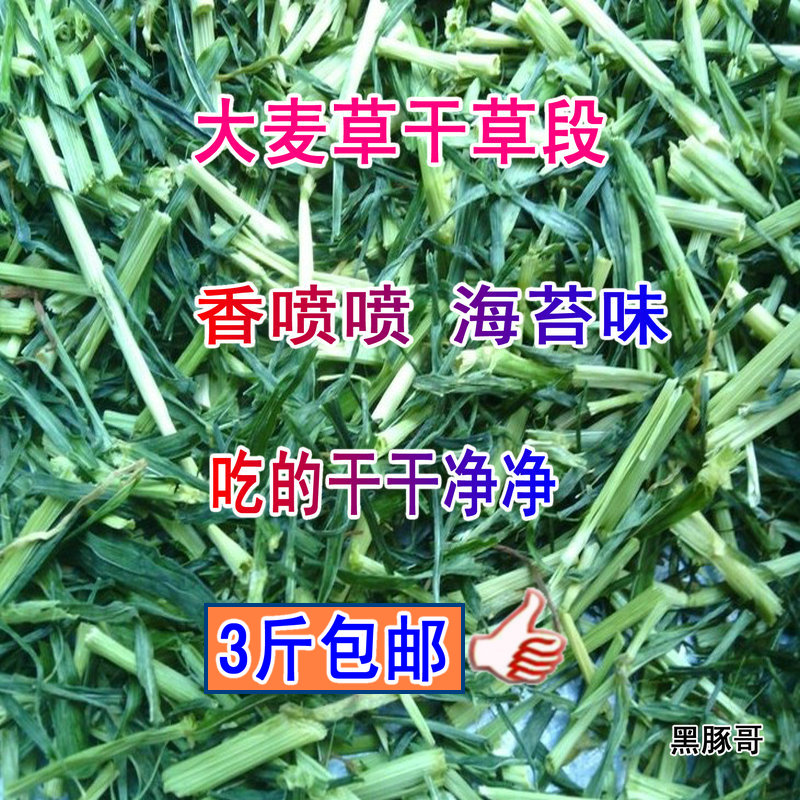 Large Wheat Grass Section Hay Half Catty Pet Rabbit Grain Holland Pig Guinea Pig Dragon Cat Feed Fresh Green Hay