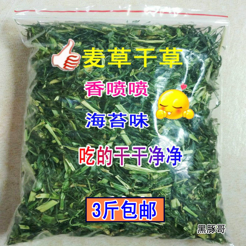 Natural Wheat Grass Hay Hay 100g Pet Rabbit Grain Dutch Pig Guinea Pig Dragon Cat Feed Fresh And Tender Green Hay