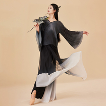 Poetic flower classical dance outer robe with ink dyed dragon pattern embroidery gauze skirt and trousers classical dance top fairy style practice clothes