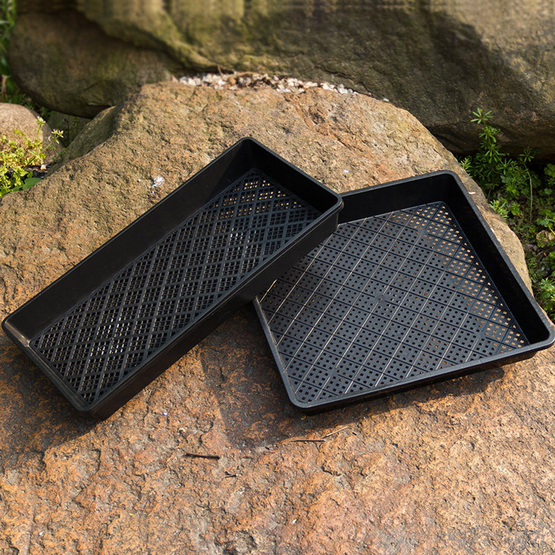 Seed vegetable pot sprout vegetable seedling plate bud plate finishing frame storage basket seedling box plastic leaf pot meat tray