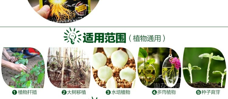 Vật tư làm vườn, bột rễ mạnh, bảo vệ môi trường, cây xanh, hoa, cây, rễ, nảy mầm, phòng ngừa, chết, rễ vòi tưới cây tăng áp