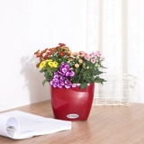 Lazy Automatic Water Absorption Flower Pot Автоматическое орошение цветочный горшок на гриле лакир для дома, бесплатная доставка зеленый укроп Специальный крытый пластик