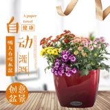 Lazy Automatic Water Absorption Flower Pot Автоматическое орошение цветочный горшок на гриле лакир для дома, бесплатная доставка зеленый укроп Специальный крытый пластик