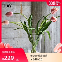 HAY Bubble Vase Bubble Effect glass vase Simple flower arrangement ornament decoration