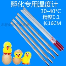 Incubation special thermometer precision Mercury red water incubator door table breeding high precision 30-40 ° accuracy 0 1