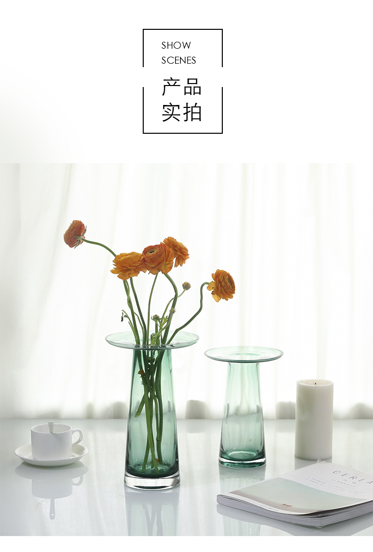 Bắc Âu tối giản bình thủy tinh gradient phòng khách chai hiện đại sáng tạo trang trí nhà Rose Daisy cắm hoa - Vase / Bồn hoa & Kệ chậu trồng mai