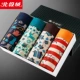 Quần lót nam nhung Bắc Cực đồ lót nam boxer cotton thoải mái thoáng khí boxer kích thước lớn thanh niên quần short