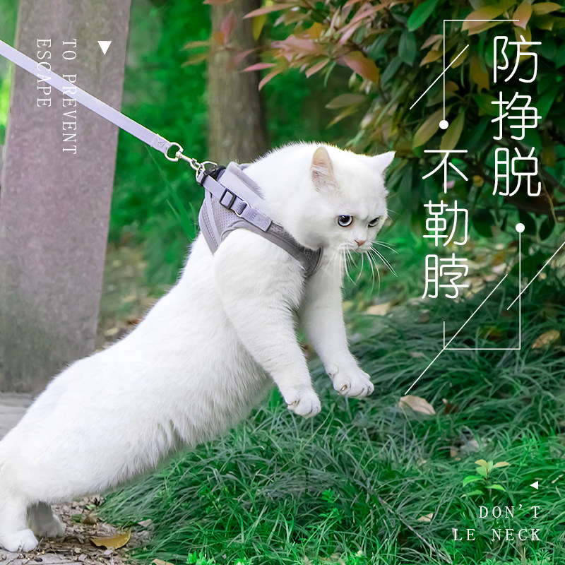 Kitty Traction Rope Telescopic Walk Cat Rope Small Cat Rope Vest Style Anti-Escape Cat Holding Baby Bag God Instrumental Pet Supplies