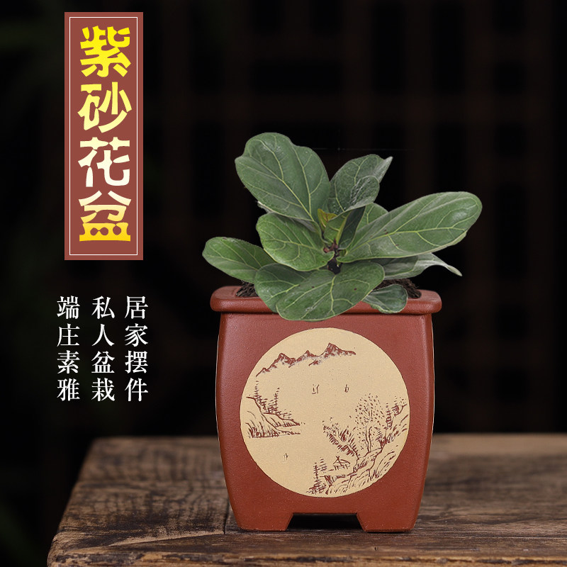 盆多肉掌中宝花盆创意北欧简约小四方盆包邮特价清仓