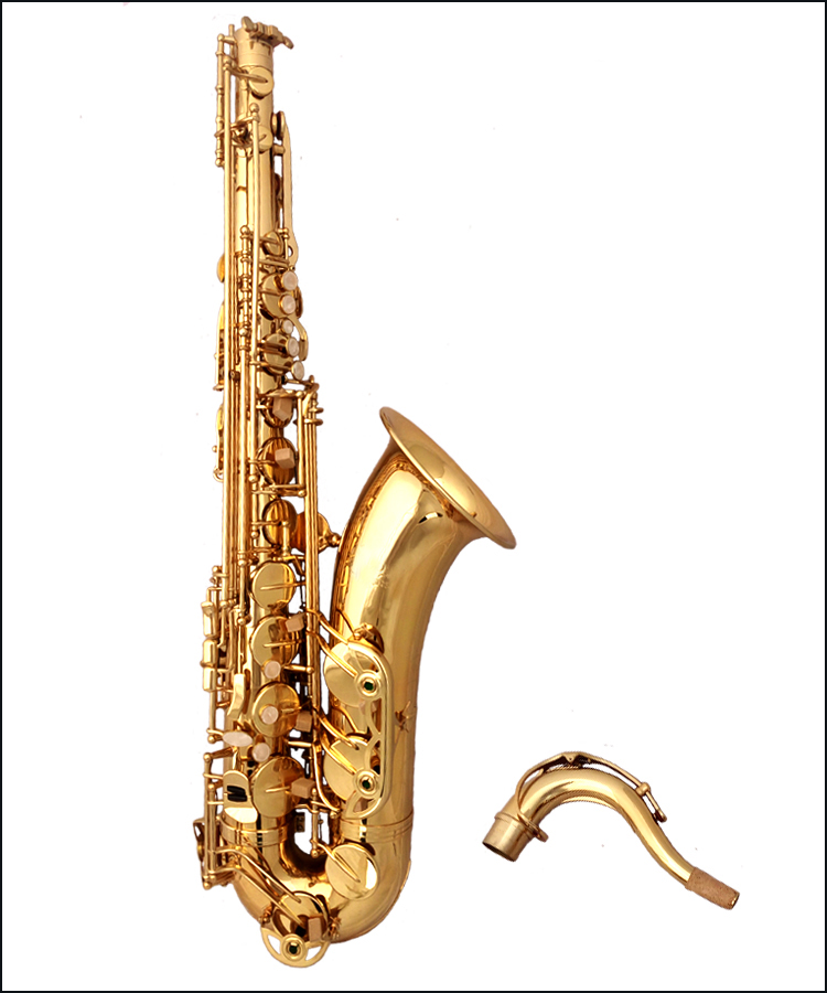 Pháp Selmer Salma Alto Saxophone Âm nhạc B-giai điệu / nhạc cụ gió tăng cường gấp đôi - Nhạc cụ phương Tây đàn guitar rosen g11
