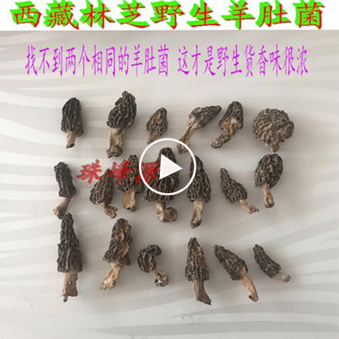 50g Tibet Nyingchi wild morel tastes better than Yunnan incense I've compared really good things