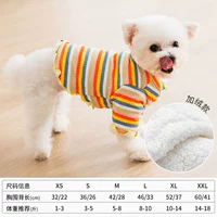 Радужная апельсина