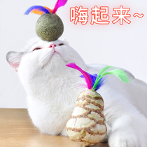 Cat toys Tumbler funny cat stick Net red feather wood polygonum bell Self-hey mint cat Lollipop Cat supplies