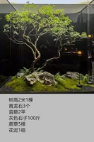 Установить комбинацию