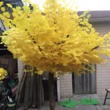 Моделирование гинкго моделирование деревьев