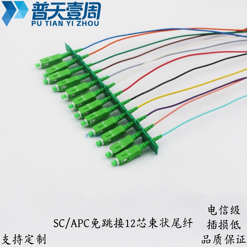 Puting One Week Square Head Sc/Apc 12-Core Bundled Pigtail 2.0 Fiber Optic Patch Cord Telecom Grade Low Insertion Loss Angled End