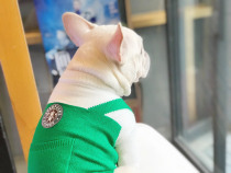 Pooch Sweater Fasts Dad Clothing Pets Winter Dress Warm Bacon Teddy Bib Bear Snownery Kirky etc.