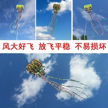 Weifang Kite 2020 new soft octopus kite large adult easy to fly 6 meters soft boneless octopus