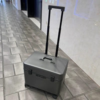 Моротный высококлассный пепел