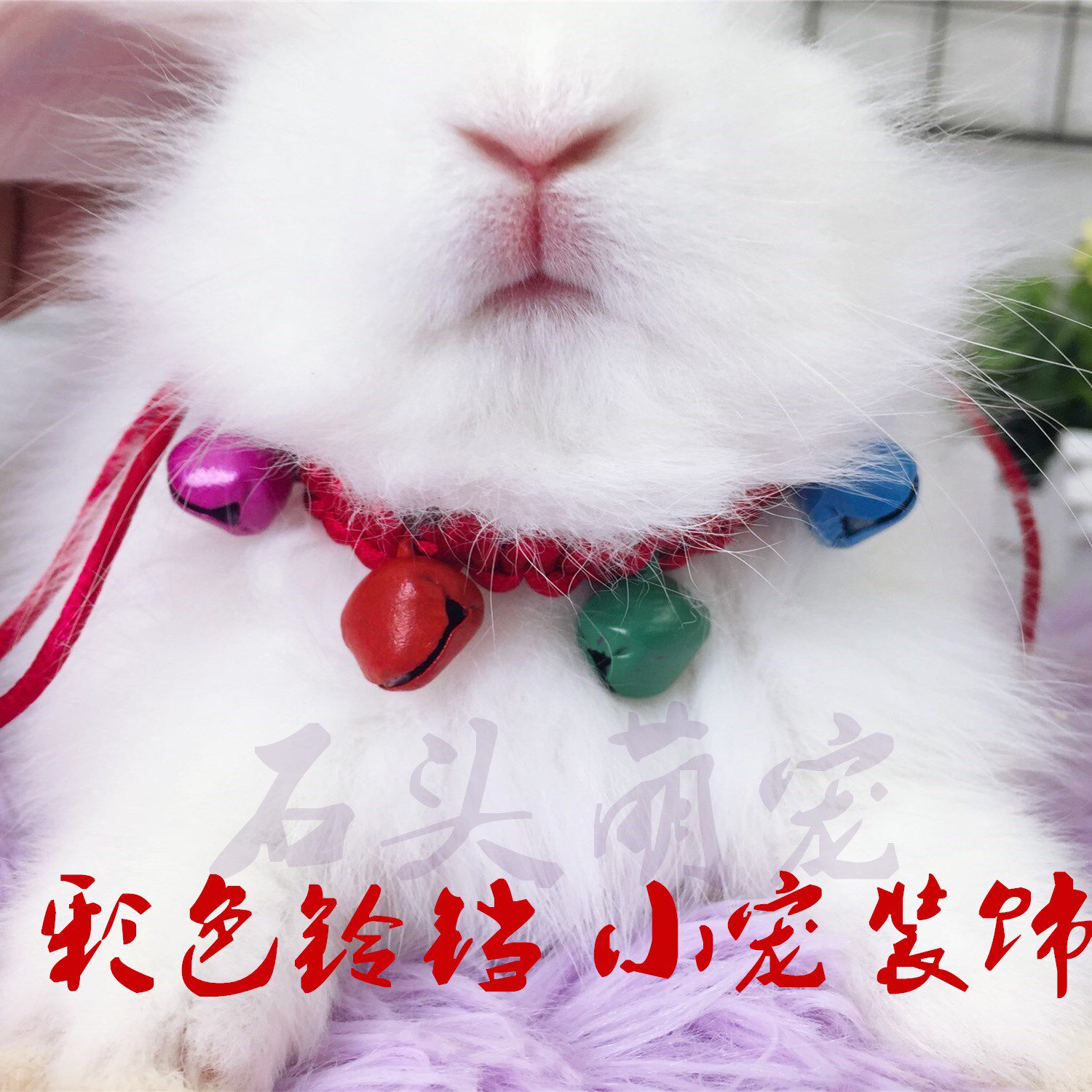 Bell Dog Collar Guinea Pig Rabbit Dog Cat Necklace Pet Supplies Toys Cute