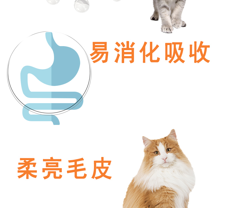 Thức ăn cho mèo Aier 10kg hương vị thịt bò Chất lượng cao giá đầy đủ phổ quát thức ăn cho mèo mèo 20 kg - Cat Staples thức ăn cho mèo gần đây