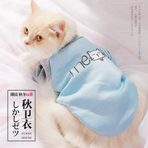 Cat clothes cute kittens cat pet dog funny little milk cat Blue Cat young cat British short hairless four seasons